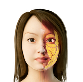 Easy skin lifting treatments in Seoul