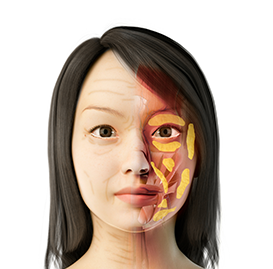 Affordable anti-aging skincare treatments in Seoul South Korea